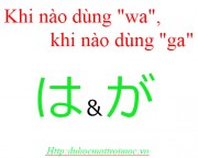 Sử dụng Trợ từ は＆が